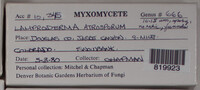 Image Associated With the Occurence